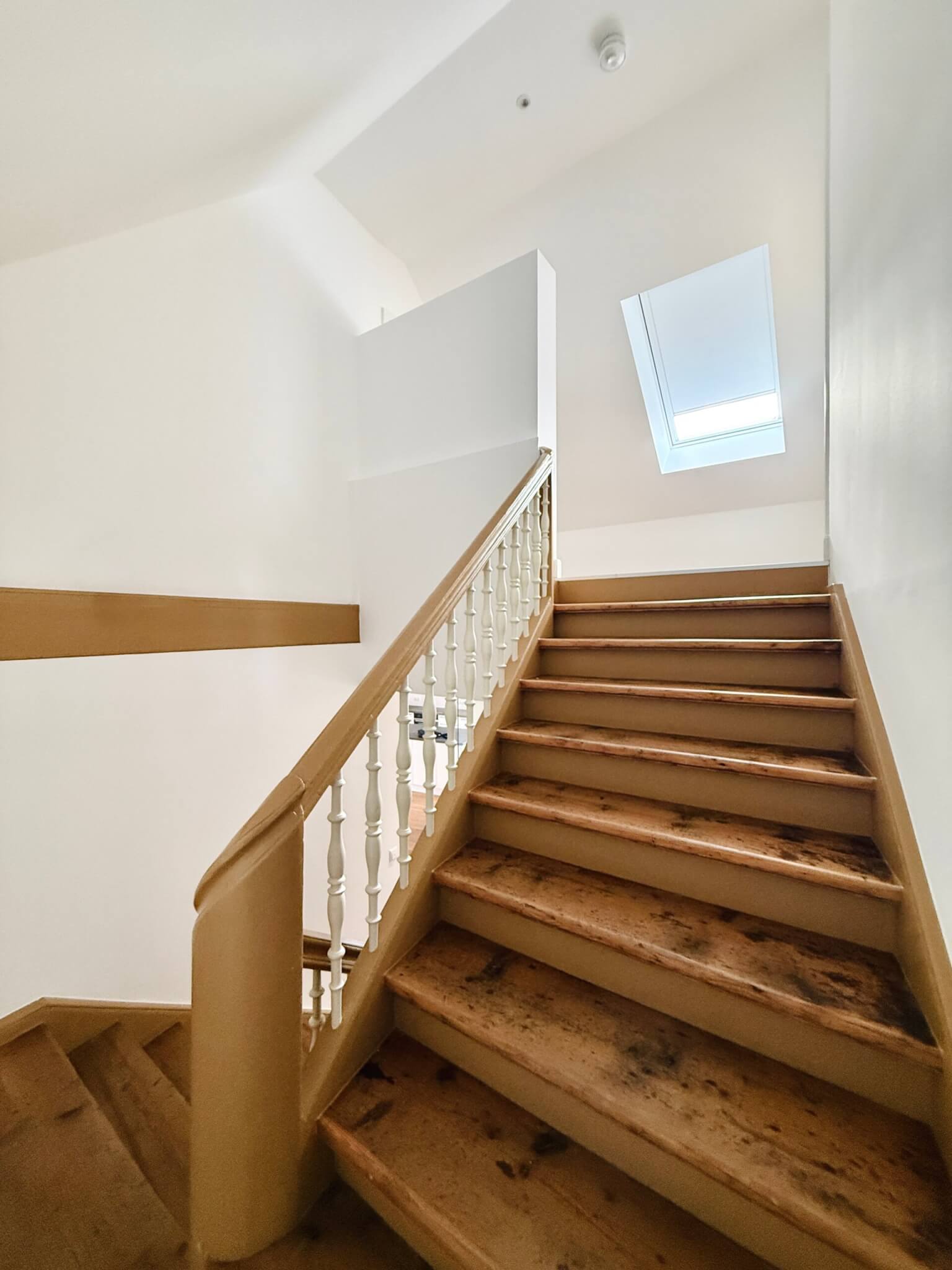 Altstadtjuwel mit gehobener Ausstattung_Treppe restauriert_Maja Prenzel IMMOBILIEN